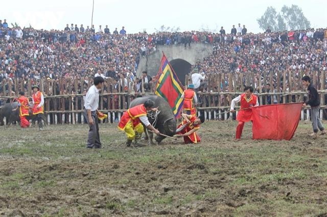 Hải Lựus 2,200-year-old tradition lives on