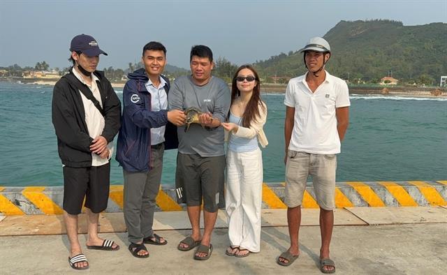 Tourists witness rare sea turtle released back to wild in Lý Sơn