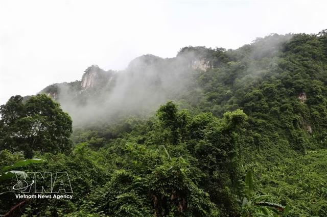 Phong Nha – Kẻ Bàng: untapped biological treasure in Trường Sơn mountains