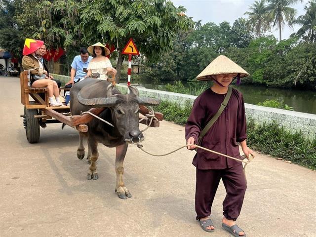 Buffalo cart brings village history to life