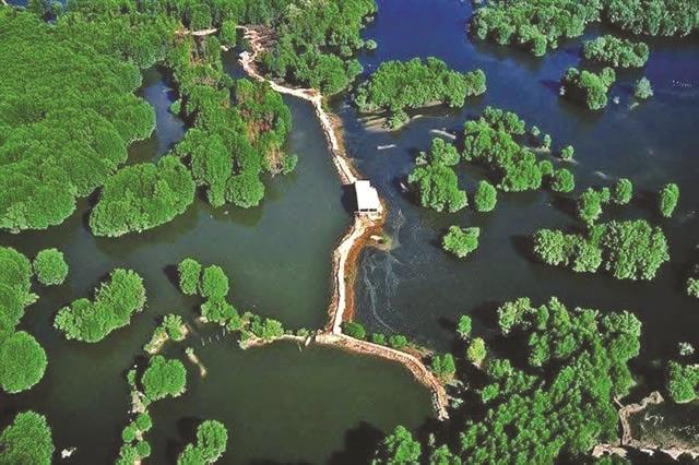 Cần Giờ taps into the potential of community-based tourism