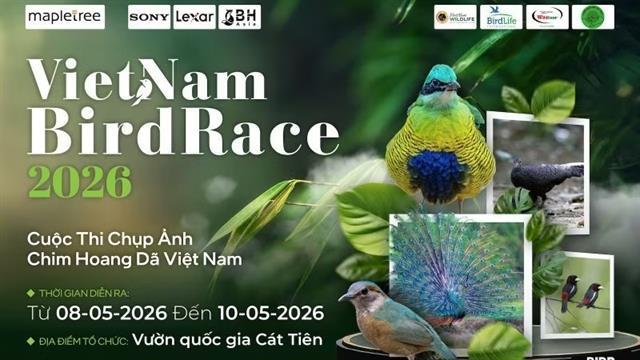 Việt Nam BirdRace 2026 to attract hundreds of photographers worldwide