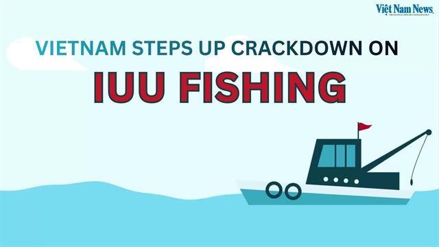 Việt Nam steps up crackdown on IUU fishing
