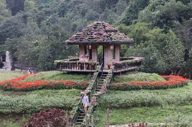 Step into a floral dream at Flower Island