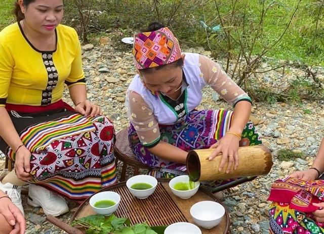 The taste of forests and mountains in a bowl of Đâm tea