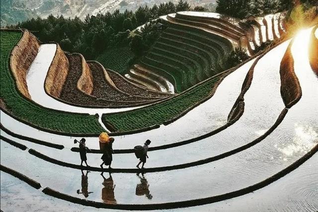 Thông Nguyên launches first terraced rice field climbing race to boost tourism