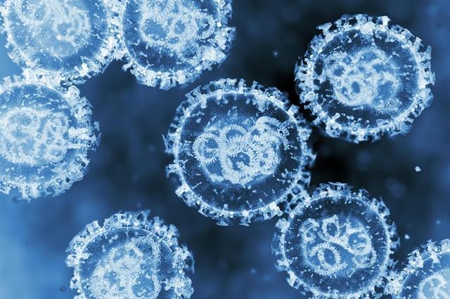 Hantavirus outbreak underscores importance of travel health preparedness