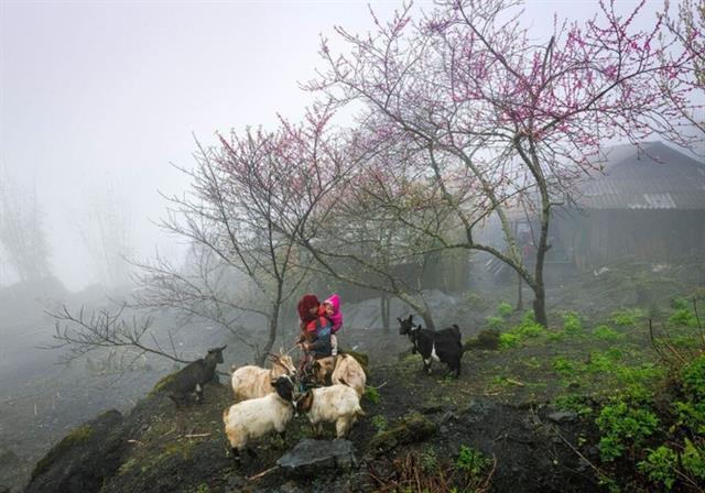 Việt Nam targets tourism breakthrough by filling gaps