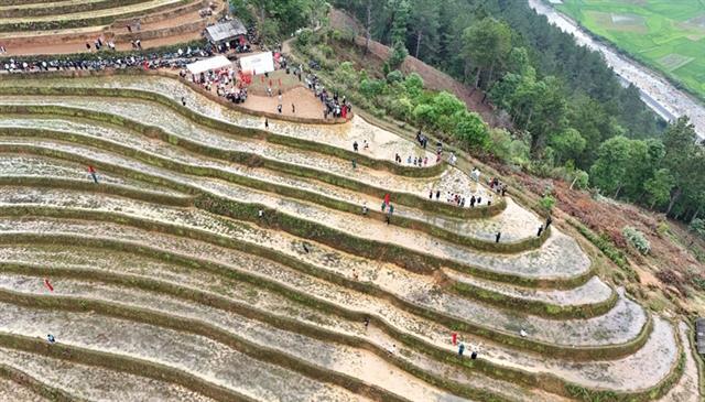 Runners immerse in nature at first Terraced Rice Field Racing in Mù Cang Chải

