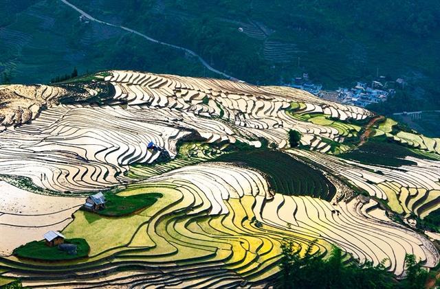 Water-filling season turns northwestern rice fields into a masterpiece