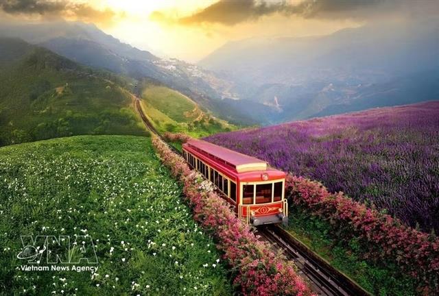 Việt Nams tourism sector accelerates green transition

