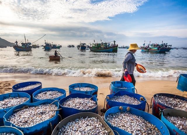 Gia Lai targets Australia to boost sustainable tourism development

