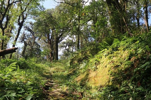 Travelling one of Việt Nams most unique mountain treks