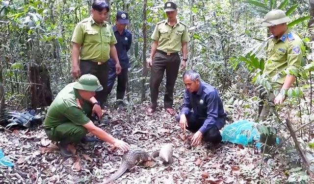 Community works together to protect wild animals