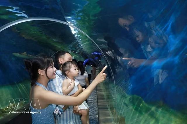 Khánh Hòa develops tourism products rooted in local culture, family experiences

