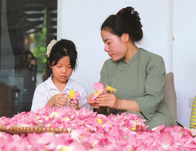 The craft of Quảng An lotus tea