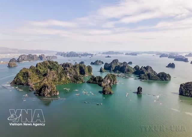 Việt Nam among top four most preferred destinations for travel, relocation