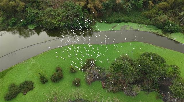 Green transition reshapes Ninh Bìnhs tourism landscape