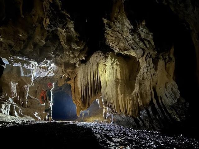 Huế–Phong Nha tourist train to be launched on September 1

