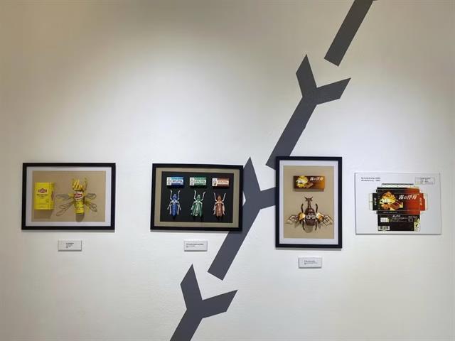 Japanese creator finds art in packaging