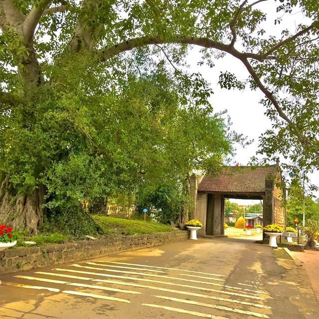 Sơn Tây seeks new tourism momentum through heritage

