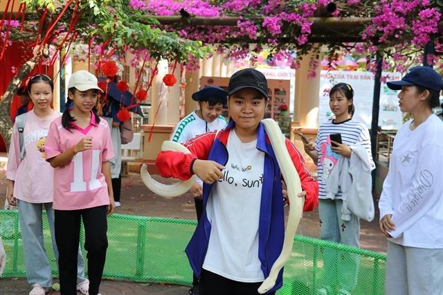 Digital transformation gives Đồng Tháp tourism a boost