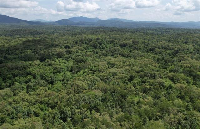 Ea Sô National Park strengthens biodiversity conservation, preserves cultural heritage