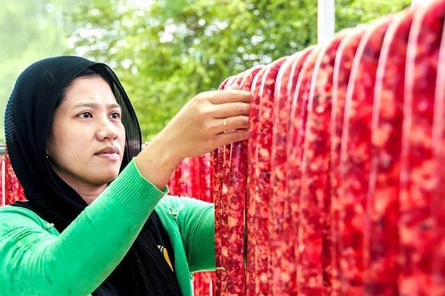 A sausage that tells a story: meet the Chăm specialty of An Giang