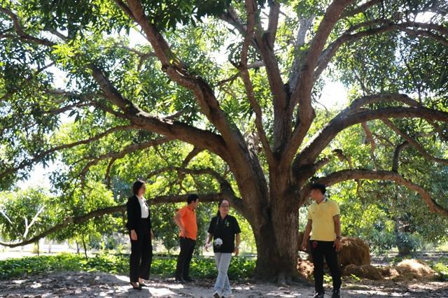 Việt Nam pushes circular tourism to drive green growth