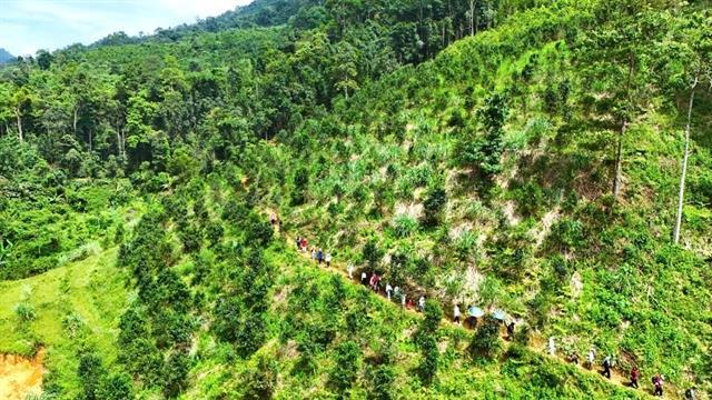 Hiking to Lủng Páng Waterfall to enjoy natural beauty