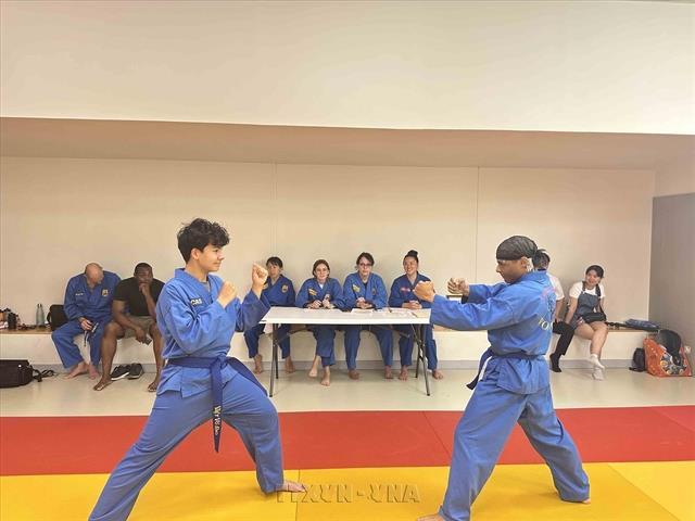 Paris Vovinam club promotes Vietnamese culture in France