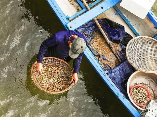 Don delivers Quảng Ngãis distinctive flavour to diners