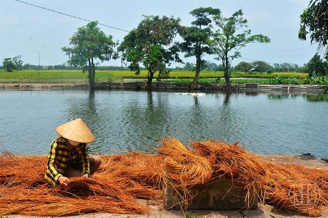 The village that keeps its centuries-old weaving craft alive 