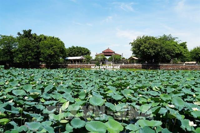 Huế makes use of heritage to drive startup growth