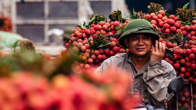Linking regions for greener growth