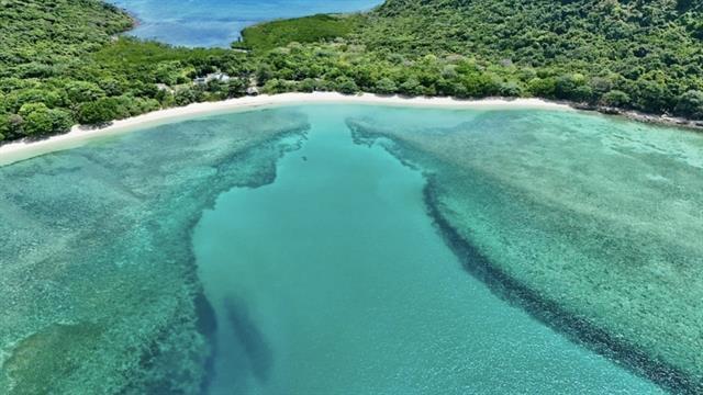 Côn Đảo builds tourism brand around nature conservation