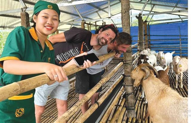 Khánh Hòa positions itself as Việt Nams emerging halal hub