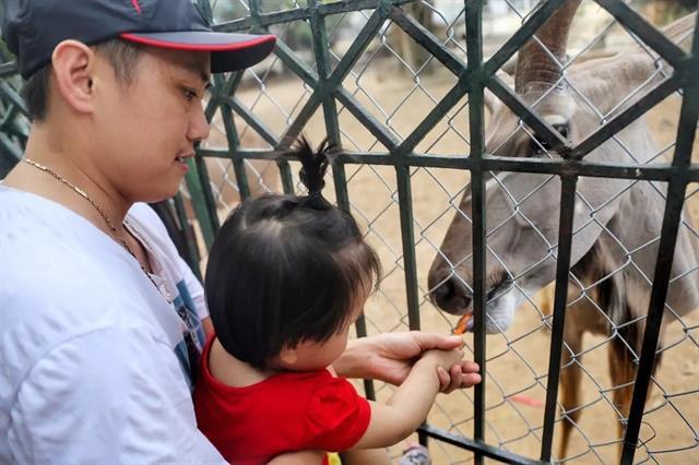 Hà Nội eyes semi-wildlife park to expand conservation efforts