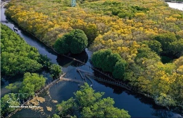 Huế City taps green resources to promote sustainable tourism