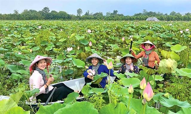 Tourists seek out riverine landscapes, discover a different Đồng Tháp