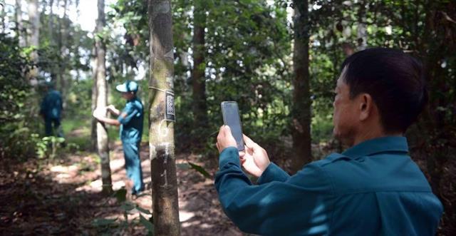 Digitalisation supports plant gene conservation in HCM City
