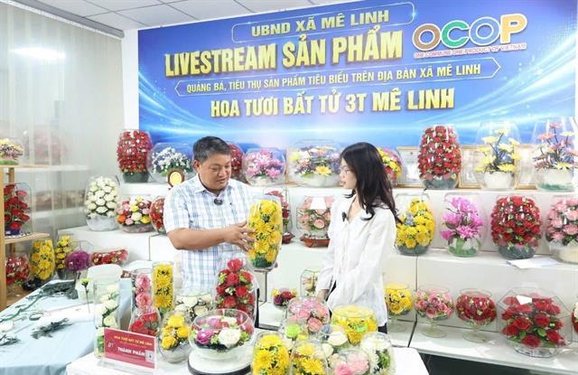 Mê Linh brings local products into digital space