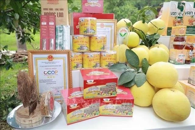 Hà Tĩnh products reach wider markets through digital platforms