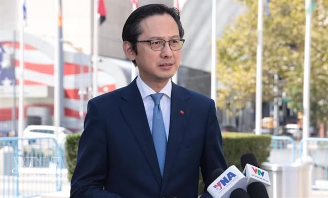 Việt Nam helps place culture at centre of global development agenda: ambassador