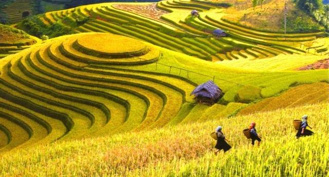 September is calling: where Việt Nam is at its best
