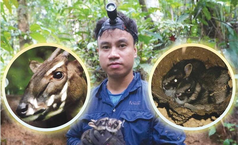 Tracking down the elusive Sao La